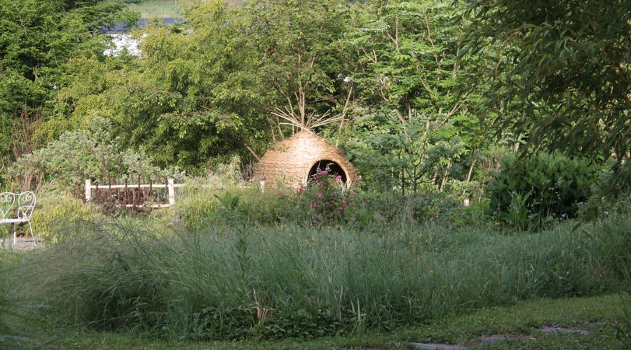  Ce que vous trouverez sur place : nature, confort, tranquillité